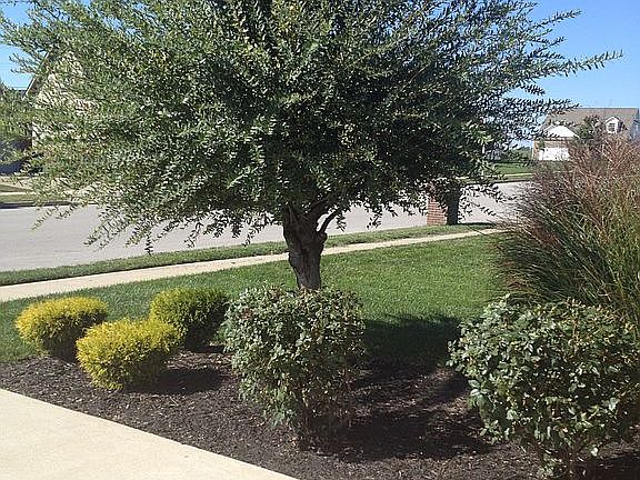 Landscaping