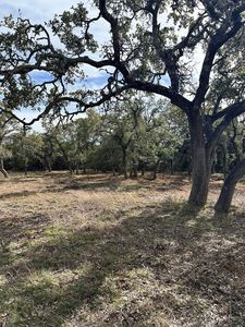 11380 Fm 32, Fischer, TX, 78623