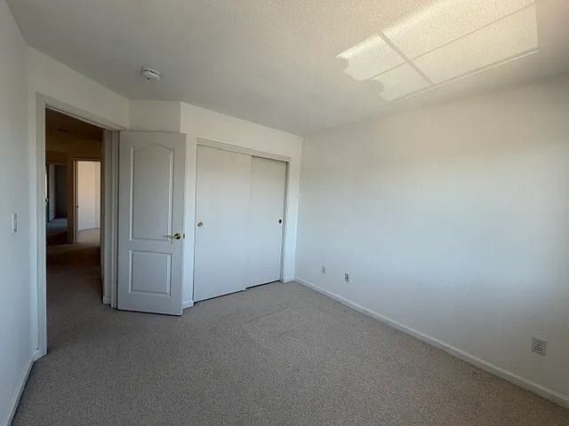 17 Miranda Ct — Photo 23