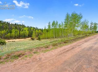 522 Hidden Valley Dr, Lake George, CO 80827