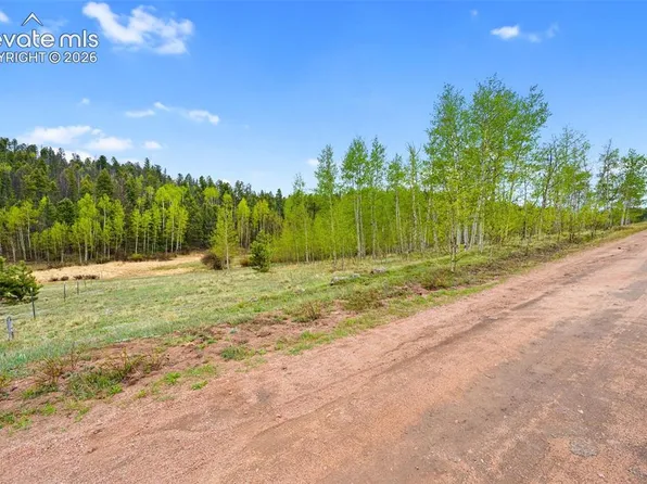522 Hidden Valley Dr, Lake George, CO 80827