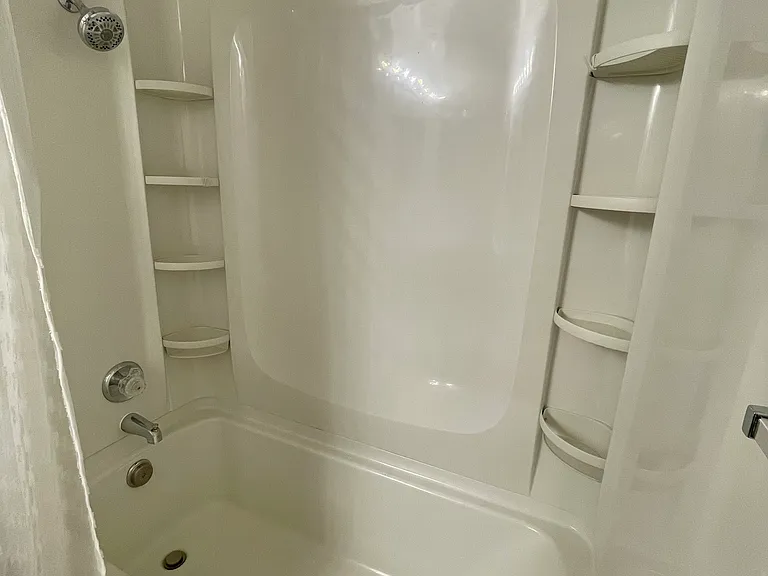 Master bathroom bathtub