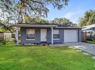 1409 N Tremain St, Mount Dora, FL 32757