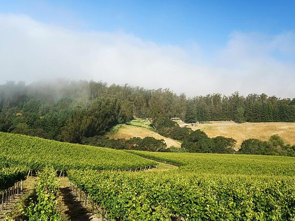 5th image of 5215 Blank Road