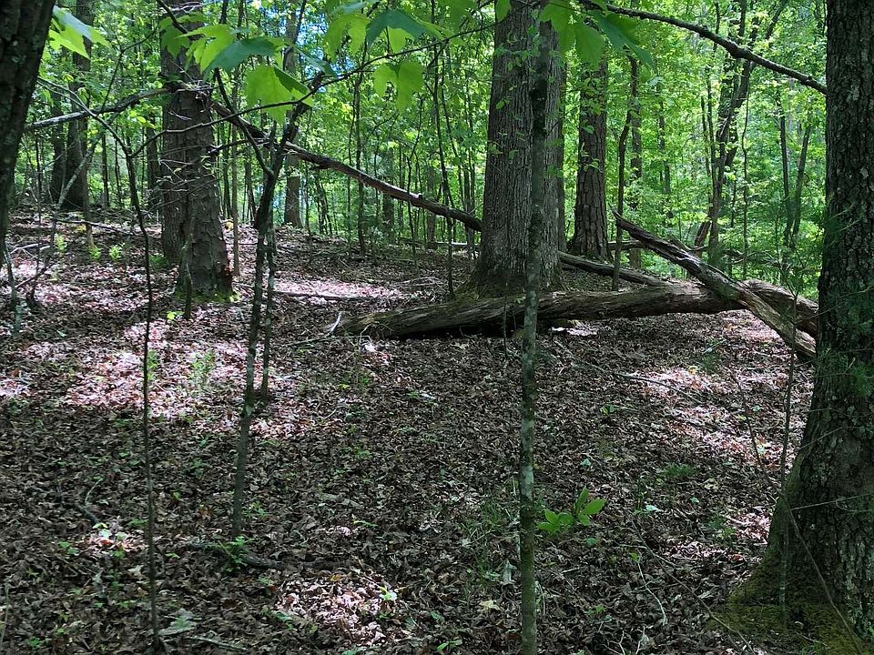 2nd image of Greely Dr