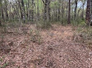 0 Packingham Dr LOT 7, Webster, FL 33597