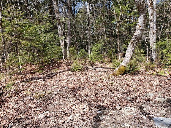 4th image of 1.3 ac Off Barrows Lake Road