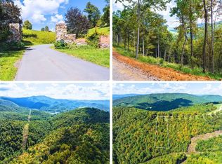 54 Summerfield Dr, Butler, TN 37640