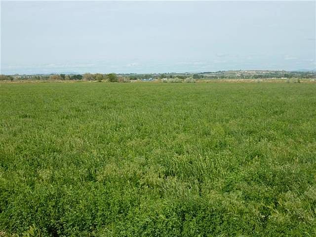 2nd image of 33AC Pioneer Rd