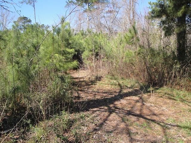 2nd image of 6867 Mohawk Dr