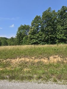 LOT 61 Stone Cliff Ln, Jamestown, TN, 38556