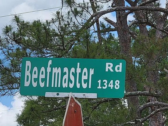 3rd image of E County Road 4 & Beefmaster Road Acres #3.8