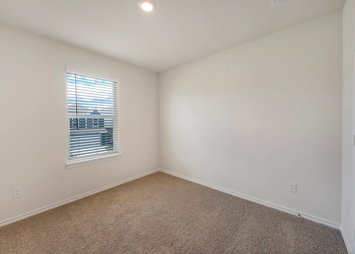 1810 Bluebonnet Ln — Photo 4