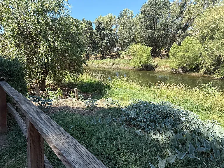 Fisher Dr — Photo 28