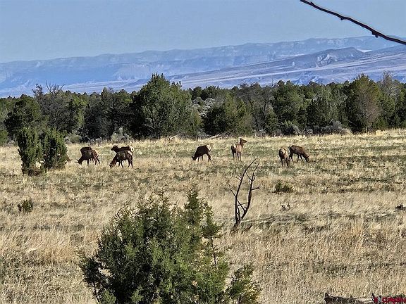 3rd image of 13670 Transfer Road