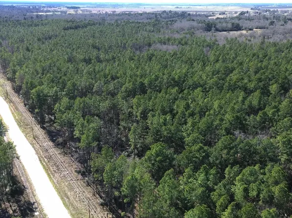 3012 Private Road 8160, Lovelady, TX 75851