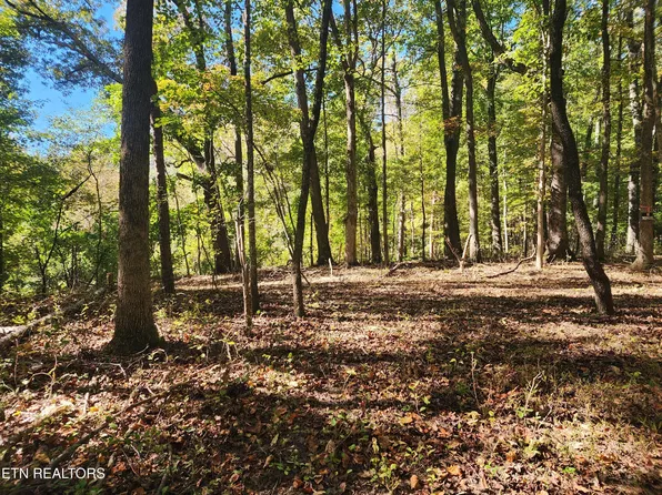 S Chamberlain Ave, Rockwood, TN 37854