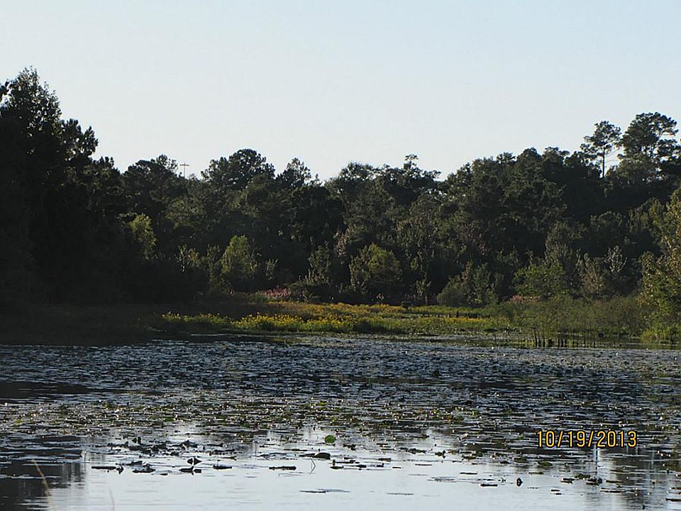 Home would be water front if the lake were not so overgrown.