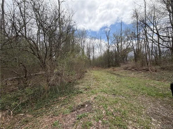 Peck Hill Rd, Manlius, NY 13104