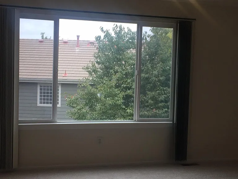 923 Grays Peak Dr — Photo 4