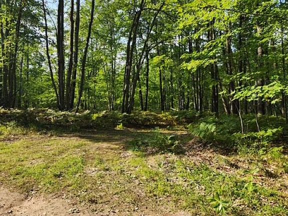2nd image of 877 E Taylor Track Rd