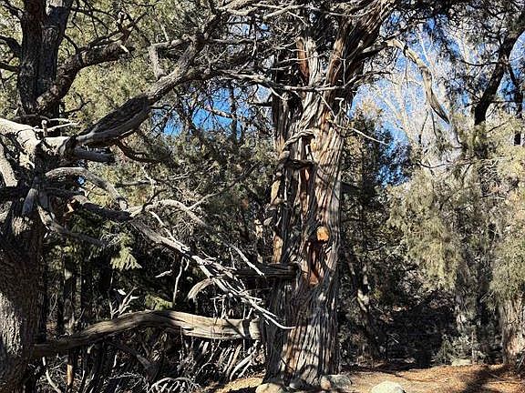 4th image of 3899 Rarity Way