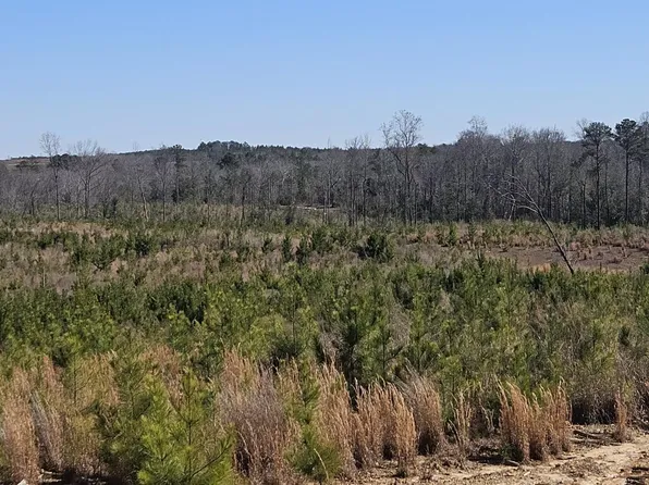 0 Highway 139 #20, Randolph, AL 36792
