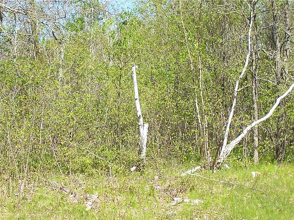 5th image of 0 Hwy M & Airport Road