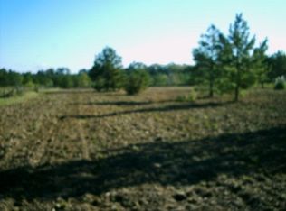 131 Barrett Rd, Hawkinsville, GA 31036