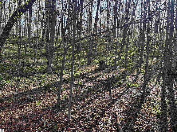 4th image of LOT 121 Maromir Ct