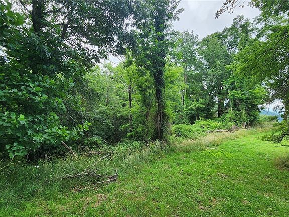 4th image of TBD Beech Mountain Road