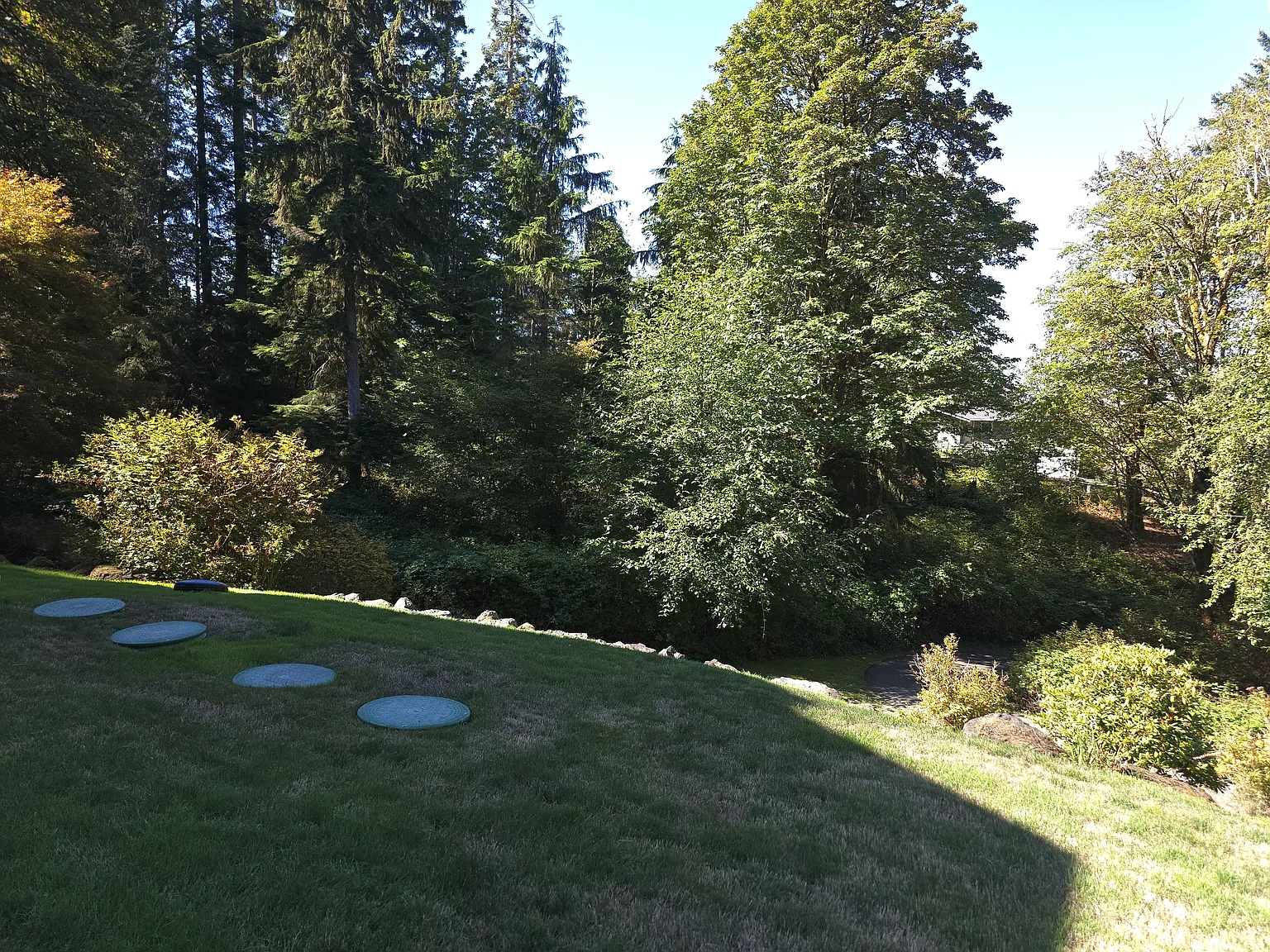 3 bed, 2.5 bath, 2549 sqft, $4,500 — Photo 4