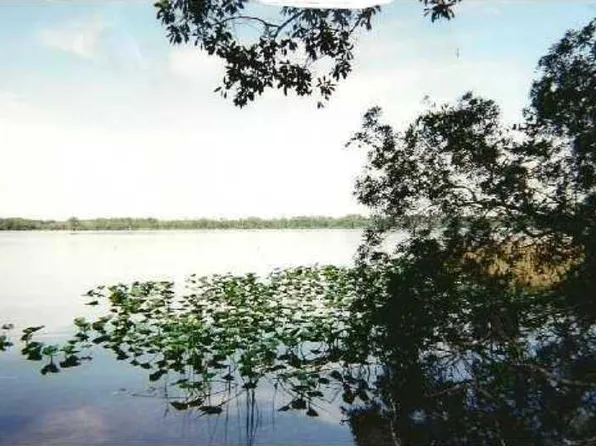 LOT#10 Lake Dias Vista Way, De Leon Springs, FL 32130