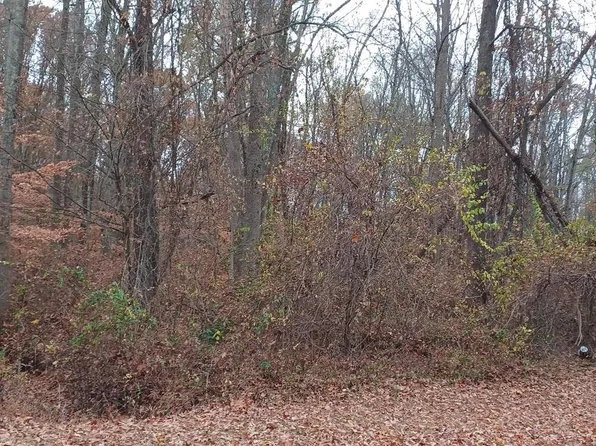 Par 113 Spg, Millington, MD 21651