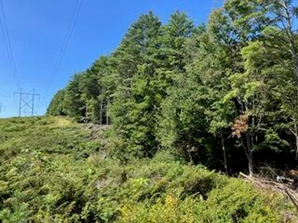 Lot #2 Back Road, Shapleigh, ME 04076