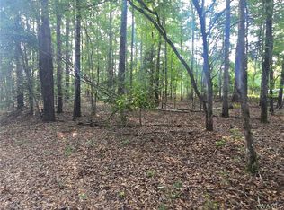 0 Union Rd, Vance, AL 35490