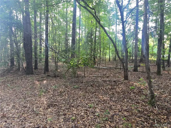0 Union Rd, Vance, AL 35490