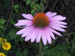 26 Grove Pl, Danbury, CT 06810