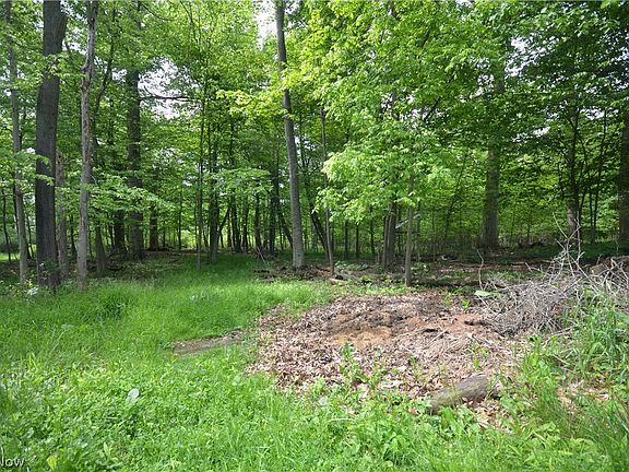 4th image of 578 Perry Rd
