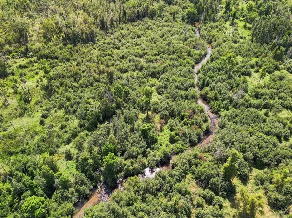 Vl W Woodruff Rd, Weidman, MI 48893