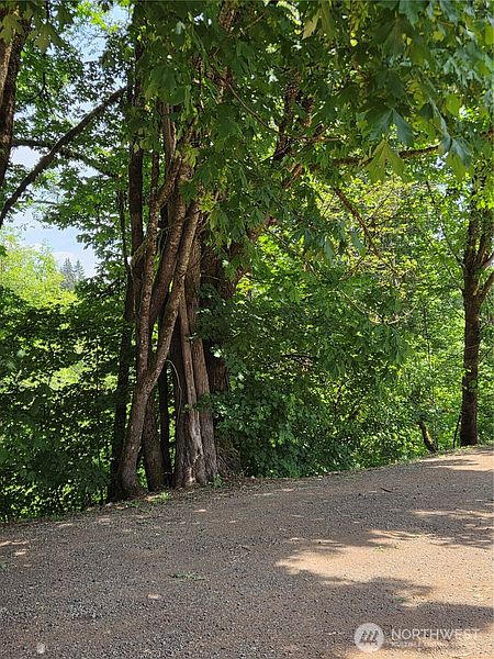 4th image of 198 Cherry Lane