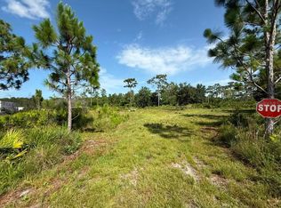 6139 KRAZY, ST CLOUD, FL 34773