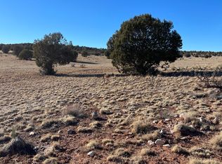 58790 N La Plancha Pkwy, Seligman, AZ 86337