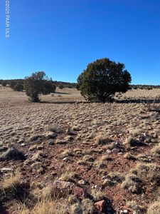 58790 N La Plancha Pkwy, Seligman, AZ, 86337