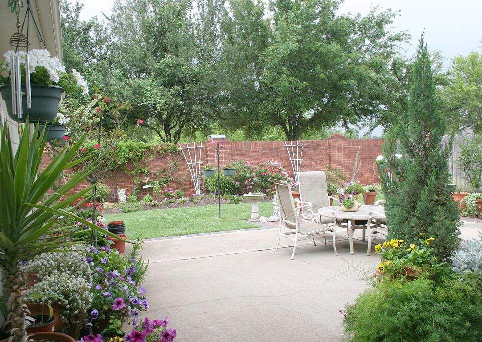 back yard.