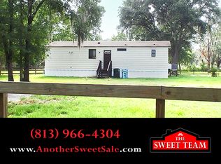 6006 Lotta Watta Ln, Dover, FL 33527