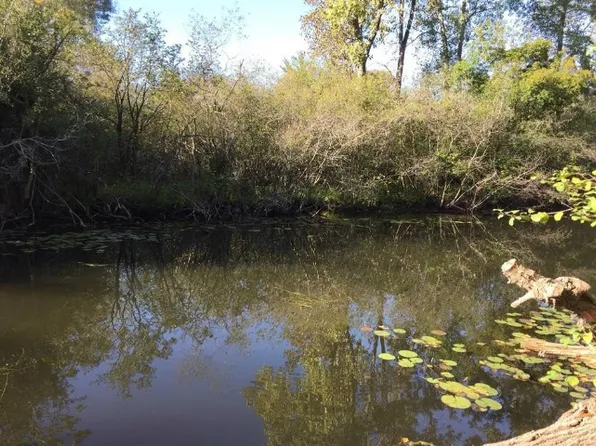 0 Cedar Island Rd, White Lake, MI 48386