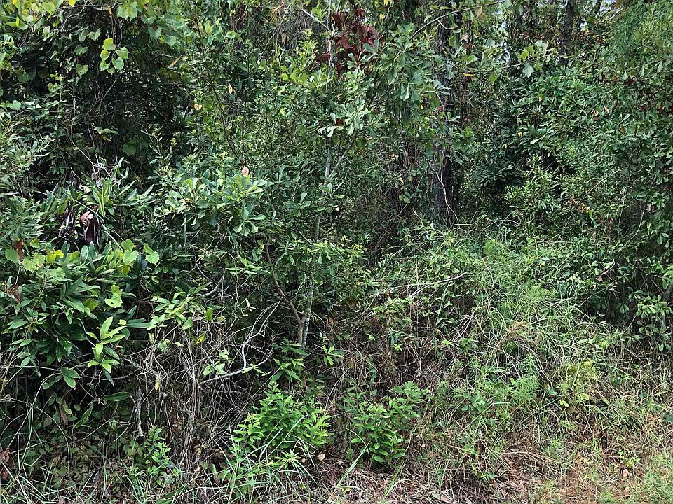 1st image of 805 Bienville Blvd