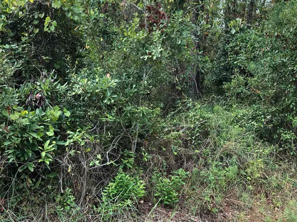 805 Bienville Blvd, Dauphin Island, AL 36528