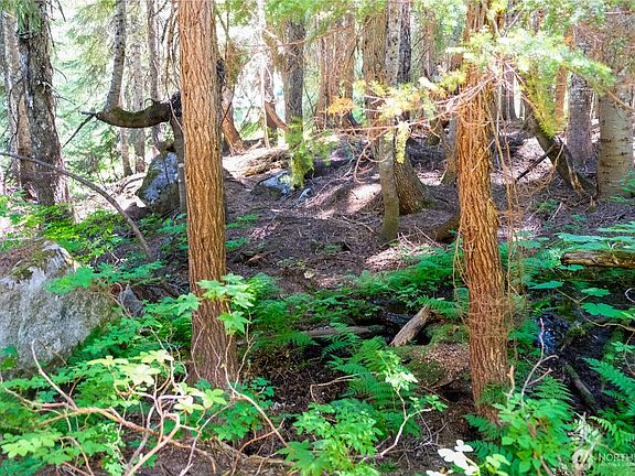 5th image of 34097 Stevens Road